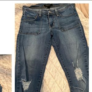 Flying Monkey Skinny